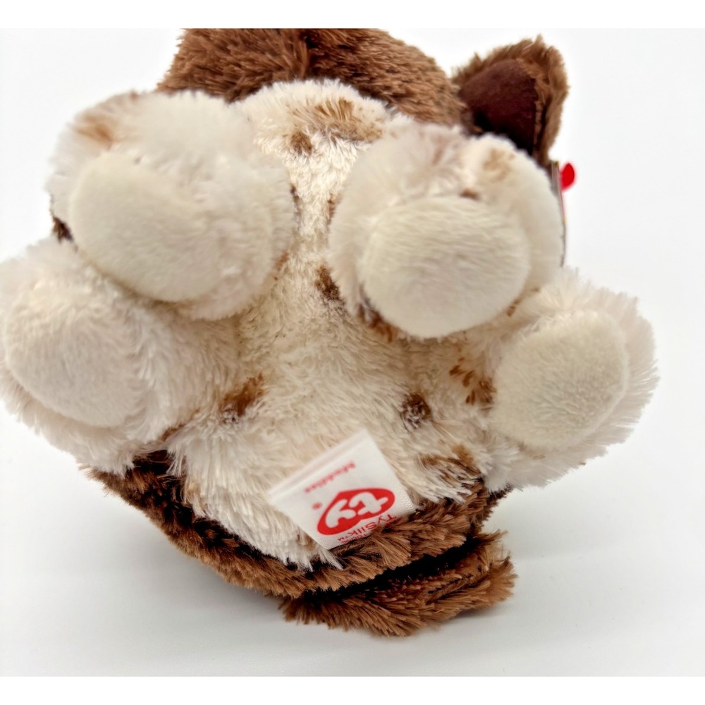 NEW 2021 TY‎ Beanie Boos MUDDLES the Dog Plush Stuffed Animal Toy - Picture 4 of 8